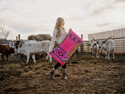 The Country Greats: Dolly