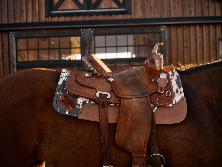 Longhorn Legacy Legend Elite