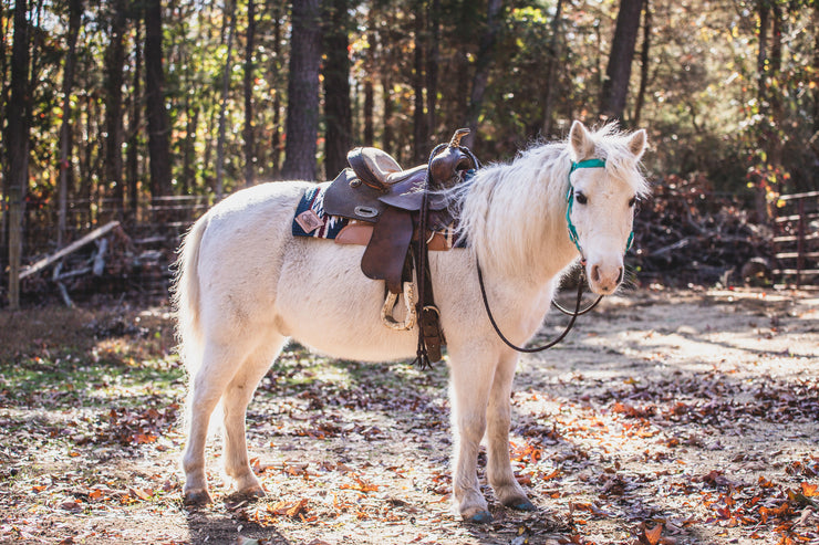 Woven Pony Pads With Fleece