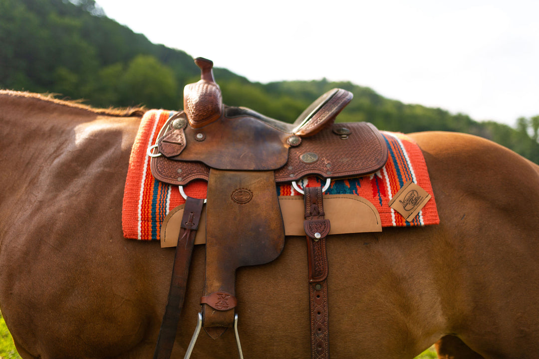 Summertime Madness: Squeeze Me Cutie – Impact Gel